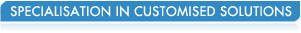 Specialised in Customised Solution